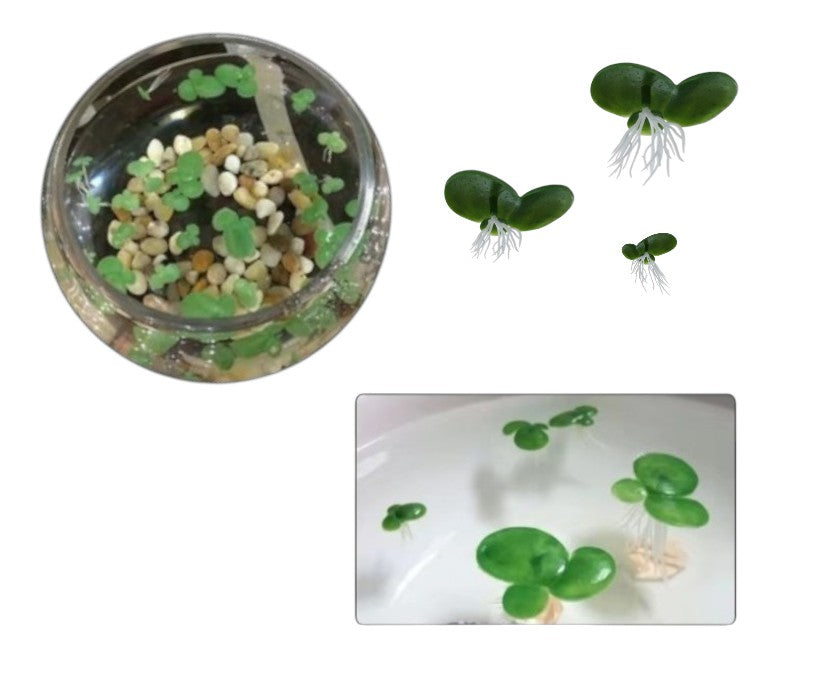 caeb5219-7102-4275-a141-82a5bf3a187c