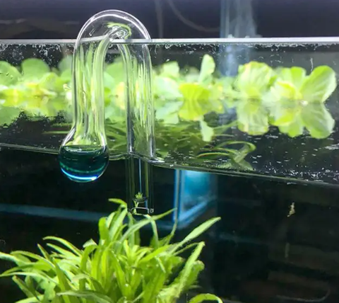Aquarium Drop Checker Hang On CO2 Indicator for Planted Tank
