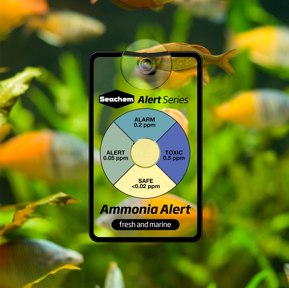Seachem Ammonia Alert Sensor for Freshwater & Marine, 1 Count Part # 00100