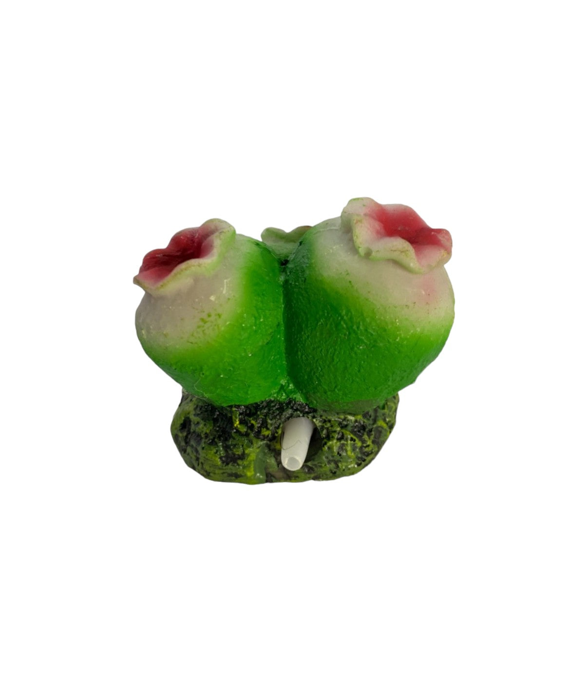 Aquarium Air Stone Ornament Decoration - Green Coral Polyp