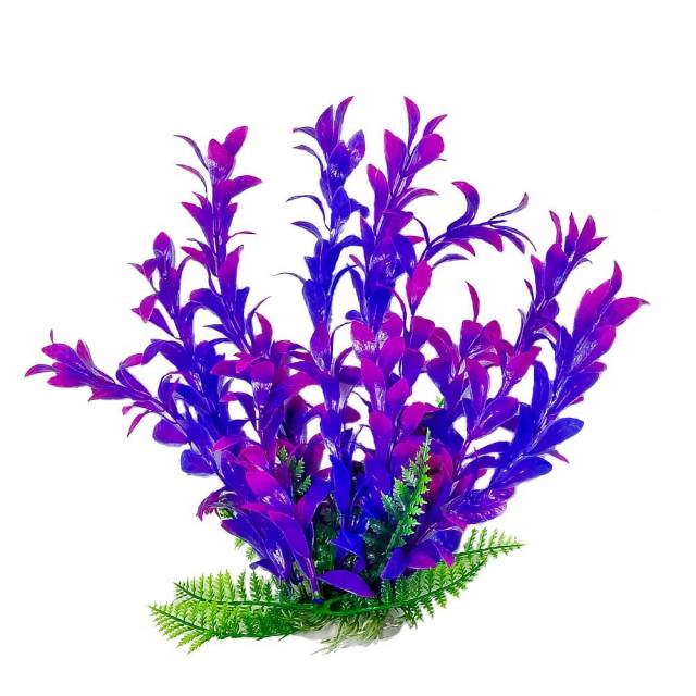 Aquatop Hygro Purple Like Aquarium Plant - 9" PD-BH17