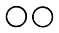 Lifegard 800 Quiet One Pump O-Ring Part# R440131