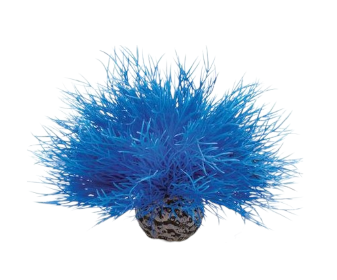 biOrb Aquatic Plastic Plant Blue Sea Lily Part# 46076