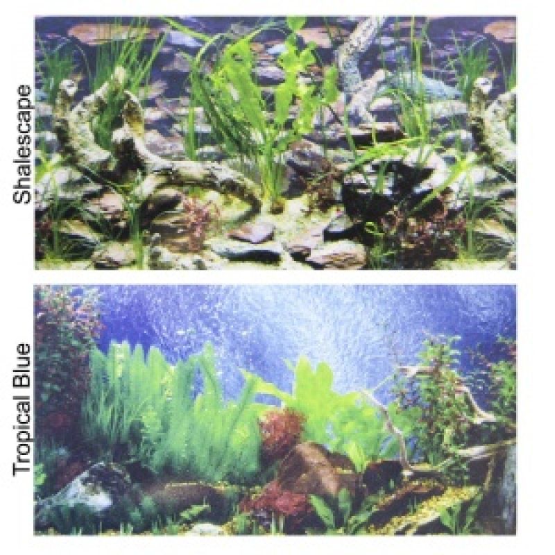Penn Plax 45 G to 120 G Reversible Aquarium Back Ground 48"x24" Part #DBC2448CB