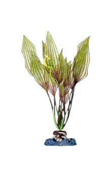 Penn Plax 8" Flowering Lace Plant Part #P7MH