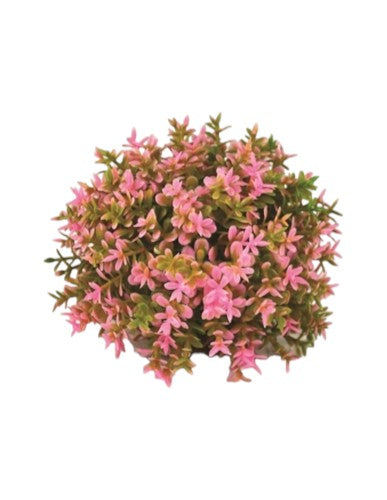 biOrb Aquatic Plastic Plant Pink Topiary Ball Part# 46088