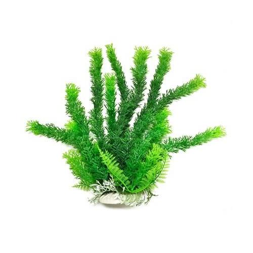 Aquatop Cabomba Aquarium Plant - Green 6" PD-BH01