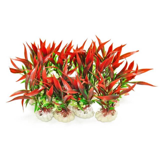 Aquatop Freshwater Aquarium Plant Red Foreground Plant 12 Pcs Part #PD-MULTI3