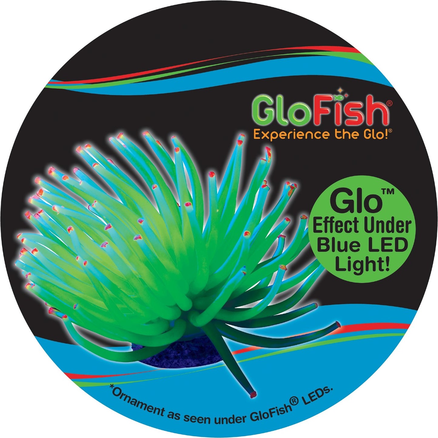 Tetra GloFish Green Anemone Aquarium Ornament