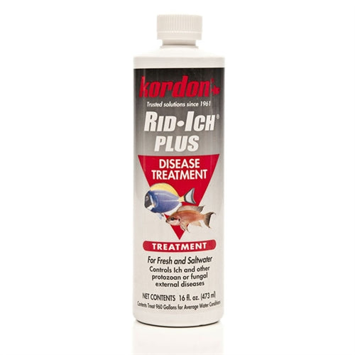 Kordon Rid Ich Plus 16oz