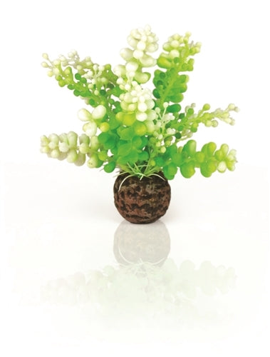 biOrb Aquatic Plastic Plant Aquatic Caulerpa Part# 46090