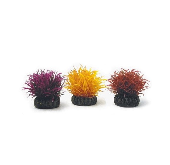 biOrb Aquatic Topiary Ball Set, Small Part# 46061