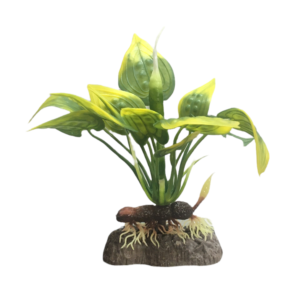 Penn Plax  3" Malay Cryp Plant Part # P21BH - Green