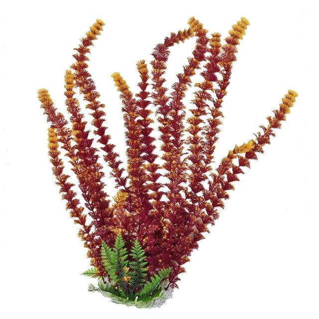 Aquatop Cabomba Aquarium Plant - Fire 20" PD-BH45