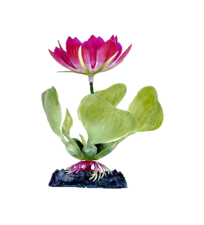 Penn Plax  3" Red Water Hyacinth Plant Part # P23BH