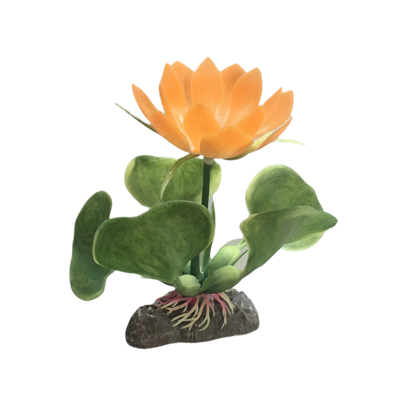 Penn Plax  3" Orange Water Hyacinth Plant Part # P23BH