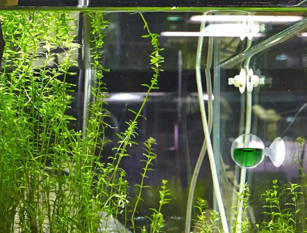Aquarium Ball Drop Checker CO2 Indicator for Planted Tank