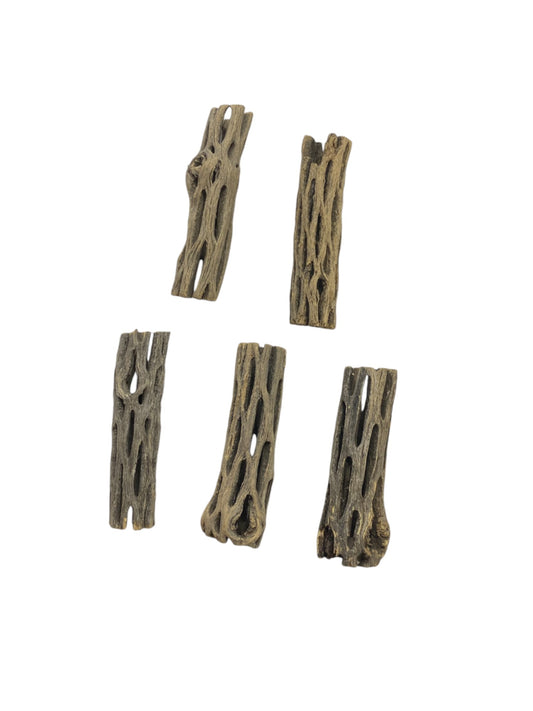 3" Cholla Wood Natural Aquarium Decoration Shrimp / Breeding Part# AQ-CHOLLA-05