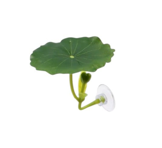 Aquarium Betta Fish Single Green Leaf for Rest and or Spawning Part # 3A