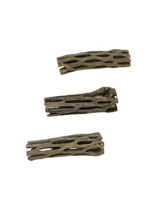 3" Cholla Wood Natural Aquarium Decoration Shrimp / Breeding Part# AQ-CHOLLA-03