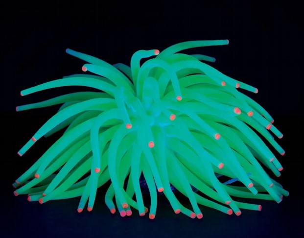 Tetra GloFish Green Anemone Aquarium Ornament