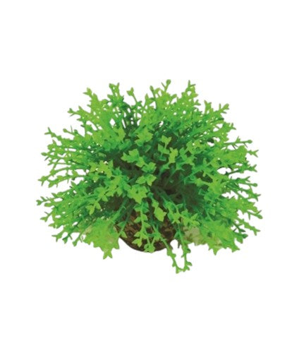 biOrb Aquatic Plastic Plant Green Topiary Ball Part# 46087