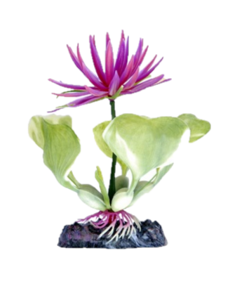 Penn Plax  3" Purple Water Hyacinth Plant Part # P22BH