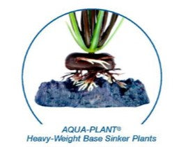 Penn Plax  6.5" Orange Water Lily Plant Part # P3MH