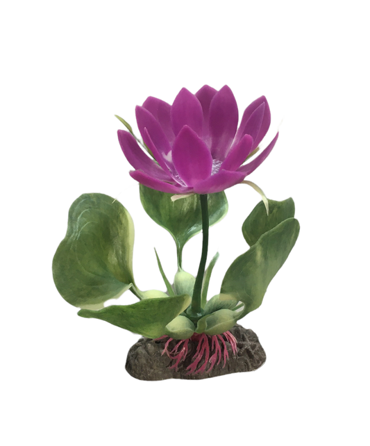 Penn Plax  3" Purple Water Hyacinth Plant Part # P23BH