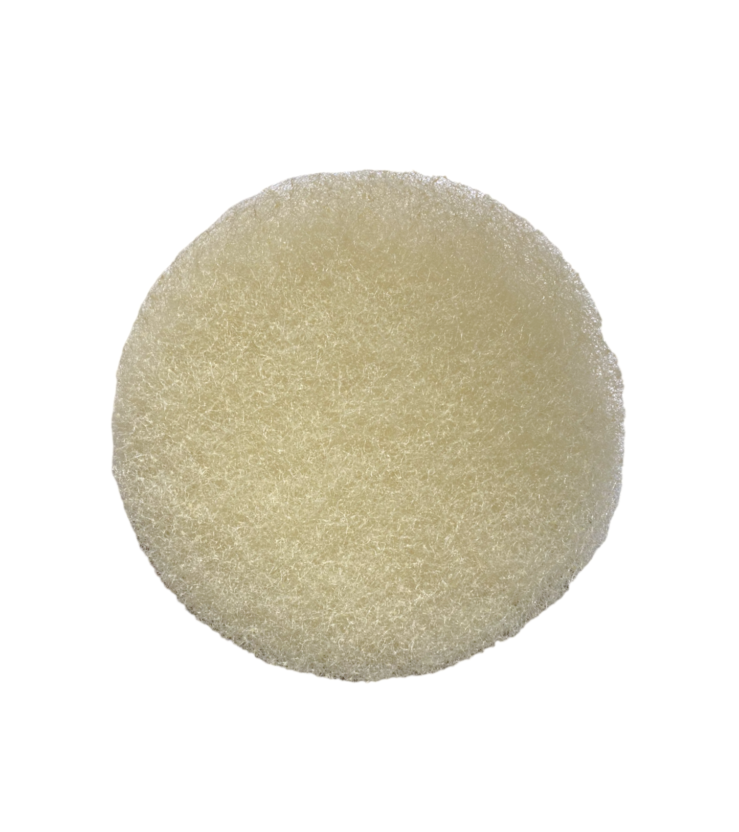 Tetra Pond Skimmer Filter Replacement Pad PS1000A  -  1 Count  Part# 19014