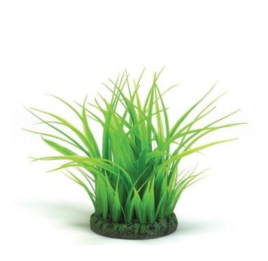 biOrb Easy Plant Grass Ring Medium Part# 46104