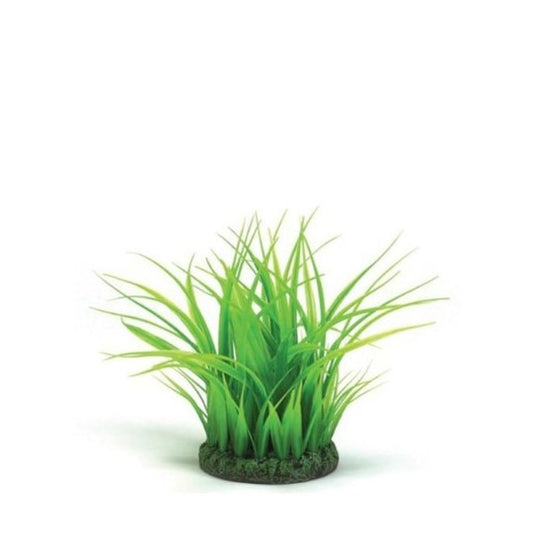 biOrb Easy Plant Grass Ring Small Part # 46103