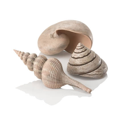 BiOrb Natural Sea Shells Set Part # 48355