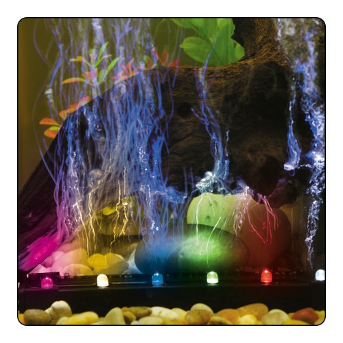 ViaAqua 6" Slow Changing Multicolor LED Light Air Stone Part #LED-AS-6S