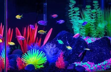 Tetra GloFish Green Anemone Aquarium Ornament