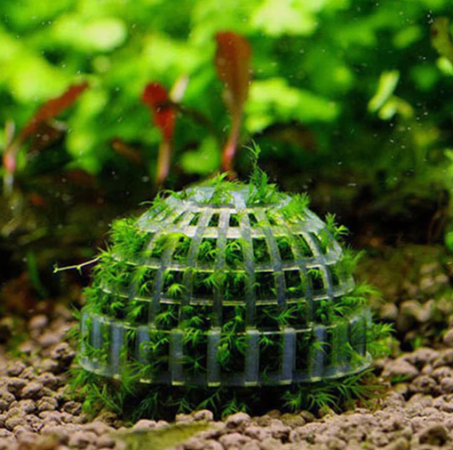 Weighted Moss Balls Holder for Planted Aquarium