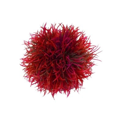 biOrb Aquatic Plastic Plant Red Color Ball Part# 46063