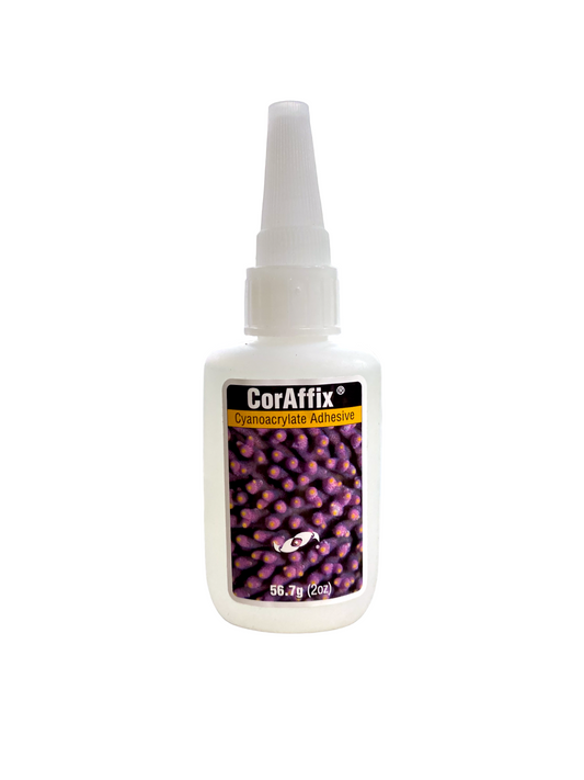 Two Little Fishies CorAffix Cyanoacrylate Adhesive 2oz